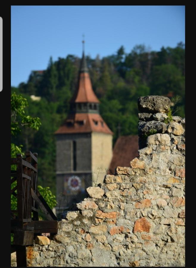 Avantgarden Brasov, Perfect Home - 1 Room Apartment Buitenkant foto