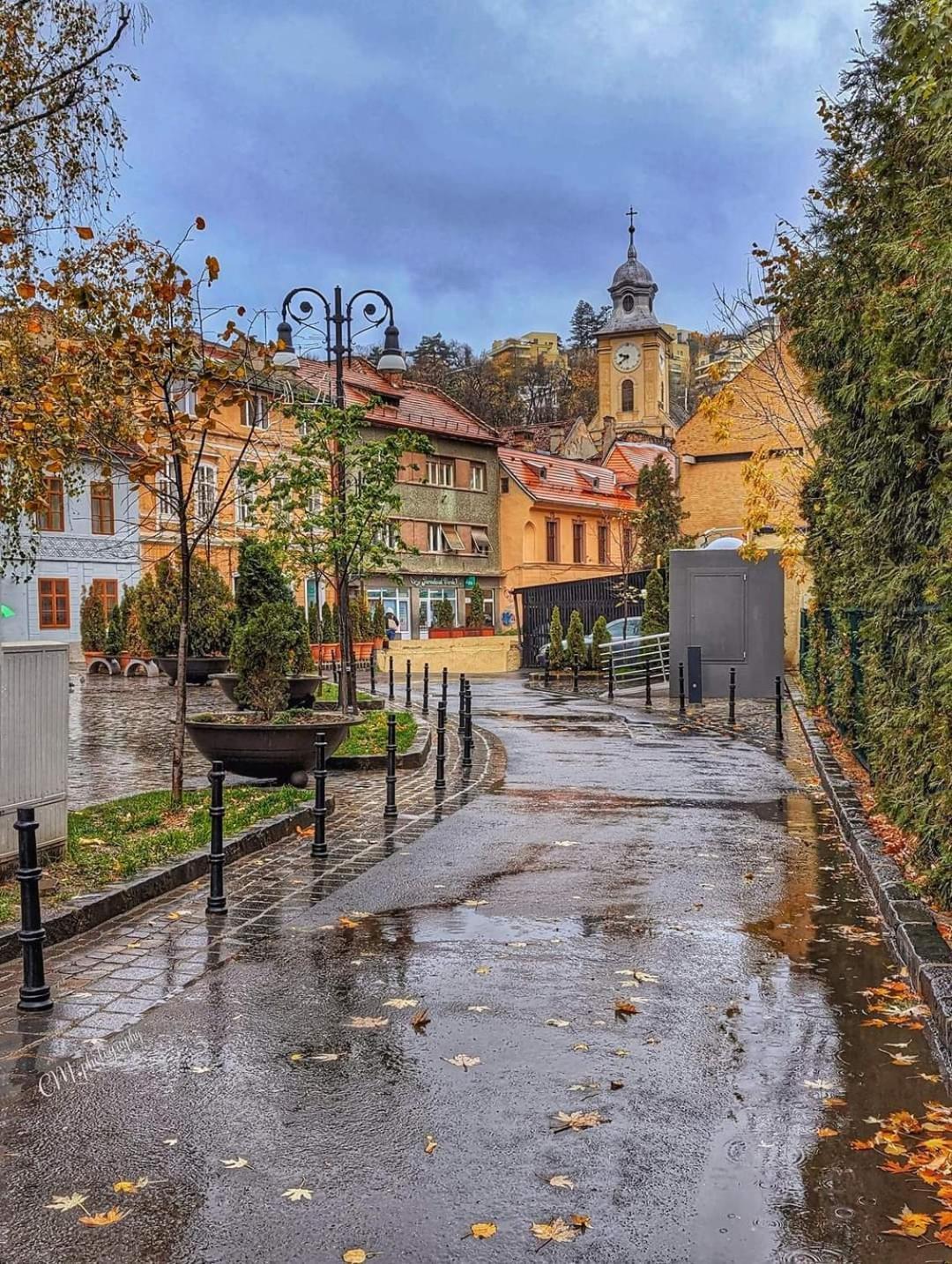 Avantgarden Brasov, Perfect Home - 1 Room Apartment Buitenkant foto
